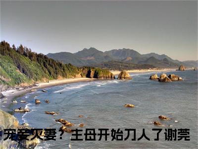美文宠妾灭妻？主母开始刀人了谢莞大结局小说-小说（宠妾灭妻？主母开始刀人了谢莞）免费分享