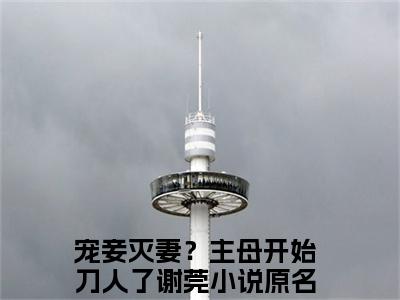 宠妾灭妻？主母开始刀人了谢莞（宠妾灭妻？主母开始刀人了谢莞）全文免费阅读无弹窗大结局_（宠妾灭妻？主母开始刀人了谢莞全文免费阅读无弹窗）宠妾灭妻？主母开始刀人了谢莞最新章节列表_笔趣阁（宠妾灭妻？主母开始刀人了谢莞）