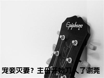 宠妾灭妻？主母开始刀人了谢莞全文免费阅读-最火热点小说最新更新