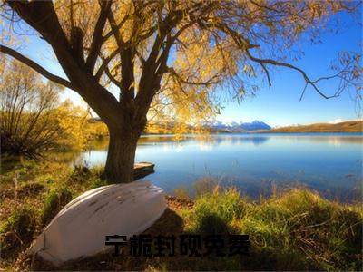 宁栀封砚（宁栀封砚）全文免费阅读_宁栀封砚（宁栀封砚）最新章节小说免费阅读