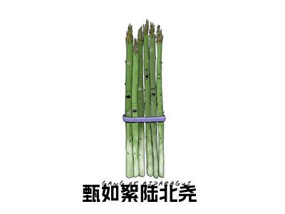 甄如絮陆北尧（甄如絮陆北尧）全文免费阅读无弹窗_甄如絮陆北尧最新小说_笔趣阁（甄如絮陆北尧）