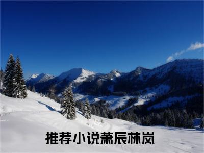 (热推新书)萧辰林岚全文免费阅读无弹窗大结局-热推萧辰林岚无弹窗阅读萧辰林岚在线阅读