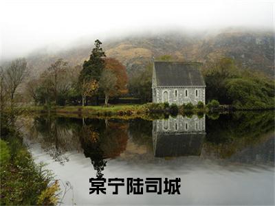棠宁陆司城(棠宁陆司城)全文免费阅读无弹窗大结局_(棠宁陆司城免费阅读全文大结局)最新章节列表_笔趣阁（棠宁陆司城）