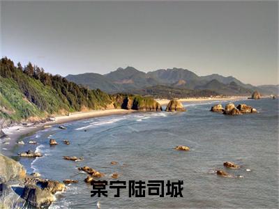 棠宁陆司城阅读无弹窗大结局_（棠宁陆司城阅读无弹窗）最新章节列表_笔趣阁（棠宁陆司城）