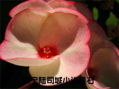 棠宁陆司城（棠宁陆司城无弹窗）全文免费阅读无弹窗大结局_（棠宁陆司城全文免费阅读无弹窗）棠宁陆司城无弹窗最新章节列表_笔趣阁
