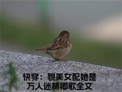 快穿：貌美女配她是万人迷林卿歌（快穿：貌美女配她是万人迷林卿歌小说）全文免费阅读无弹窗大结局_（快穿：貌美女配她是万人迷林卿歌阅读无弹窗）快穿：貌美女配她是万人迷林卿歌小说章节列表_笔趣阁