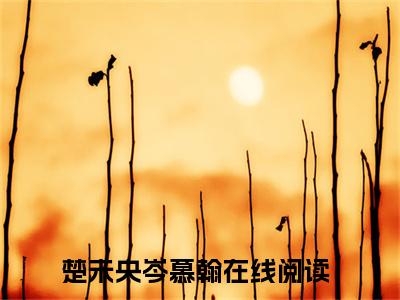 小说《楚未央岑慕翰》全文免费阅读无弹窗-楚未央岑慕翰小说全文在线赏析_笔趣阁