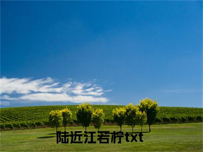 陆近江若柠（陆近江若柠）完结版小说-陆近江若柠小说全文阅读