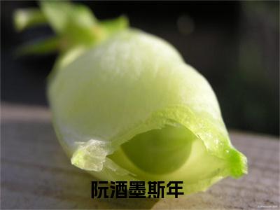 阮酒墨斯年（阮酒墨斯年）全文免费阅读无弹窗大结局_(阮酒墨斯年小说免费阅读)最新章节_笔趣阁