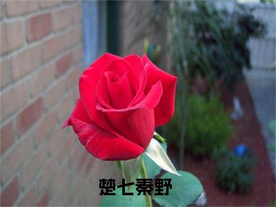 楚七秦野正版阅读小说全文楚七秦野-《楚七秦野》免费小说无广告