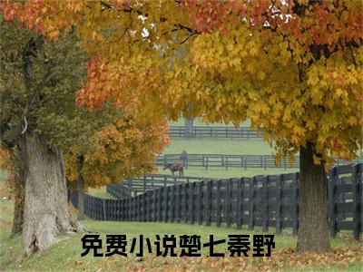 楚七秦野完整版最新小说大结局 楚七秦野最新章节