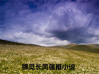 锦觅长凤在哪看无弹窗全文