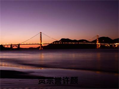 贺宗誉许颜是什么 贺宗誉许颜免费阅读全文