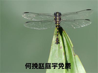 何挽赵庭宇（何挽赵庭宇）全文免费阅读无弹窗大结局_何挽赵庭宇最新章节列表_笔趣阁（何挽赵庭宇）