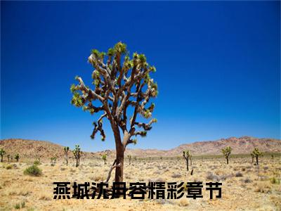 燕城沈月容全文免费阅读无弹窗大结局-燕城沈月容在线阅读
