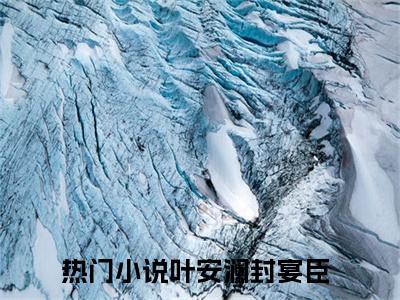 叶安澜封宴臣小说在线阅读全文完整版免费阅读_叶安澜封宴臣小说免费最新章节列表