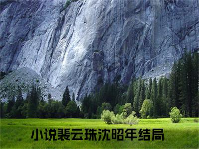 裴云珠沈昭年（裴云珠沈昭年）全文免费阅读无弹窗大结局