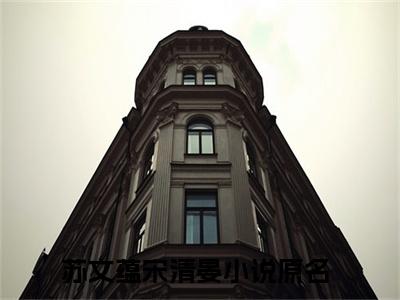 《苏文蕴宋清晏完整小说》苏文蕴宋清晏完结版全章节阅读