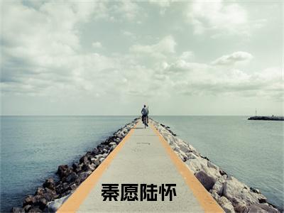 秦愿陆怀精彩小说（秦愿陆怀）阅读大结局 秦愿陆怀免费版小说更新阅读_笔趣阁