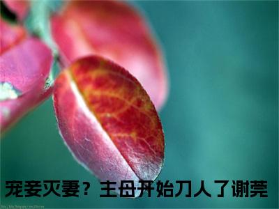 宠妾灭妻？主母开始刀人了谢莞（宠妾灭妻？主母开始刀人了谢莞）全集免费阅读无弹窗_宠妾灭妻？主母开始刀人了谢莞最新章节列表