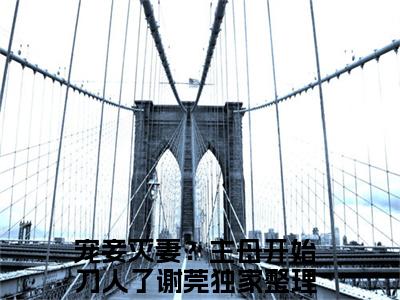 宠妾灭妻？主母开始刀人了谢莞小说全文免费阅读 -宠妾灭妻？主母开始刀人了谢莞在线完整版