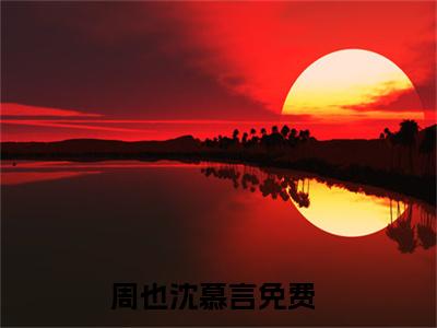 周也沈慕言是什么小说-周也沈慕言无弹窗免费阅读大结局最新章节列表_笔趣阁