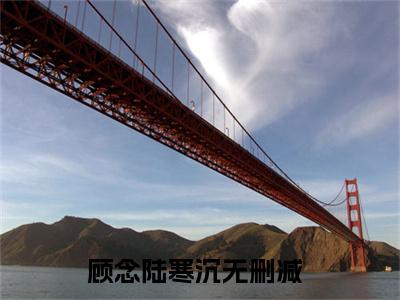 顾念陆寒沉最新章节阅读-顾念陆寒沉免费阅读大结局无弹窗