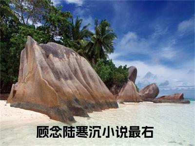 顾念陆寒沉热门小说全文免费阅读无弹窗大结局-顾念陆寒沉全文无弹窗免费阅读大结局