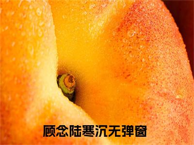 顾念陆寒沉(顾念陆寒沉)全文免费阅读无弹窗大结局_顾念陆寒沉(顾念陆寒沉小说全文无弹窗)完整版最新阅读（顾念陆寒沉）
