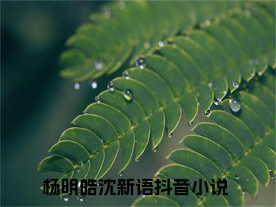 杨明皓沈新语小说（杨明皓沈新语）免费阅读全文-完整版小说（杨明皓沈新语）最新在线阅读