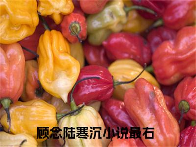 顾念陆寒沉热门小说全文免费阅读无弹窗大结局-顾念陆寒沉全文无弹窗免费阅读大结局