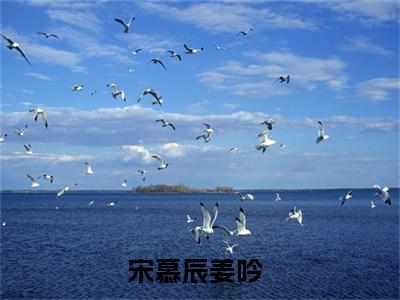 宋慕辰姜吟免费阅读无弹窗大结局-宋慕辰姜吟（宋慕辰姜吟最新全章节大结局）全文阅读