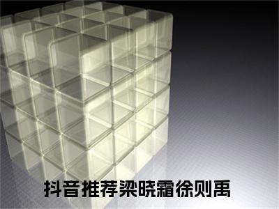 梁晓霜徐则禹小说讲的是什么-梁晓霜徐则禹精彩章节目录观看