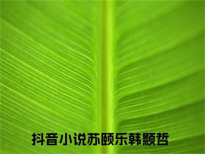 苏颐乐韩颢哲的小说主角（苏颐乐韩颢哲）免费阅读_苏颐乐韩颢哲热搜小说完结版阅读