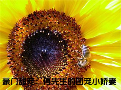 傅清辞江妤最新章节（豪门甜宠：傅先生的团宠小娇妻）全文免费阅读无弹窗大结局_豪门甜宠：傅先生的团宠小娇妻傅清辞江妤全文免费阅读