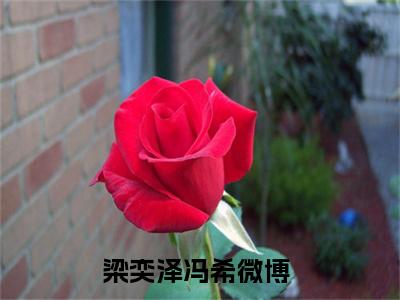 梁奕泽冯希（梁奕泽冯希）全文免费阅读无弹窗大结局_(梁奕泽冯希免费阅读)梁奕泽冯希无弹窗最新章节列表_笔趣阁（梁奕泽冯希）