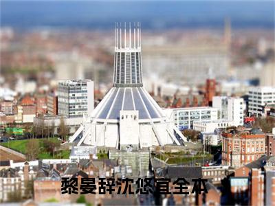黎晏辞沈悠宜最新热门小说-（黎晏辞沈悠宜）最新章节免费阅读