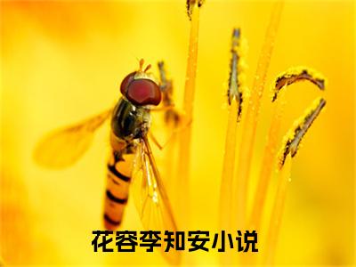 花容李知安小说完整版阅读 花容李知安全文在线赏析