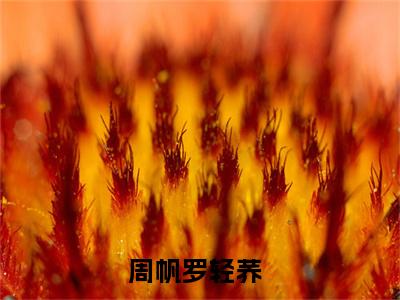周帆罗轻荞榜单小说全文免费阅读无弹窗大结局-周帆罗轻荞全文在线阅读