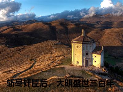 斩尽奸臣后，大明盛世三百年全文阅读-叶轩魏忠贤小说免费阅读-笔趣阁