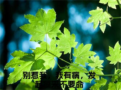 季惊秋池岁（别惹我，我有病，发起疯来不要命）全文完整版免费阅读-主角叫别惹我，我有病，发起疯来不要命的小说季惊秋池岁