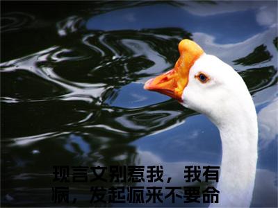 季惊秋池岁小说（别惹我，我有病，发起疯来不要命）全文免费阅读无弹窗大结局_别惹我，我有病，发起疯来不要命最新章节列表