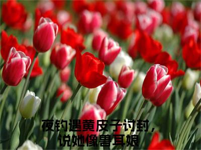 黄皮子王昆（夜钓遇黄皮子讨封，说她像兽耳娘）小说免费在线阅读_黄皮子王昆全本免费小说阅读大结局（夜钓遇黄皮子讨封，说她像兽耳娘）
