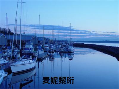 麦妮黎珩免费小说全文免费阅读无弹窗大结局_麦妮黎珩完结版在线阅读