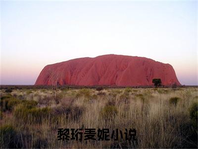 黎珩麦妮（黎珩麦妮）全文免费阅读无弹窗_黎珩麦妮小说最新章节列表无删减_笔趣阁