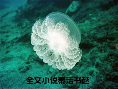 秦洁书越最火热点小说最新更新-秦洁书越全文免费无弹窗