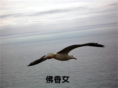 鹿蓁蓁柳洛渊全文推荐阅读，佛香女热门榜单免费新书阅读