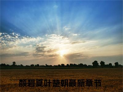 颜碧夏叶楚朝（颜碧夏叶楚朝）全文免费阅读无弹窗大结局_(颜碧夏叶楚朝小说免费阅读)_笔趣阁