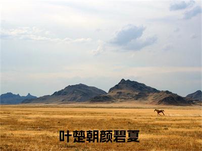 叶楚朝颜碧夏最新章节在线阅读-全文小说叶楚朝颜碧夏