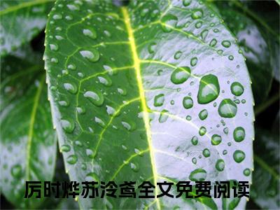 厉时烨苏泠鸢(厉时烨苏泠鸢)全文免费厉时烨苏泠鸢读无弹窗大结局_ 厉时烨苏泠鸢无弹窗最新章节列表_笔趣阁